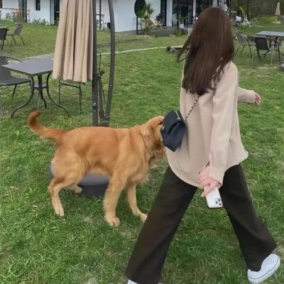 黑金村传说